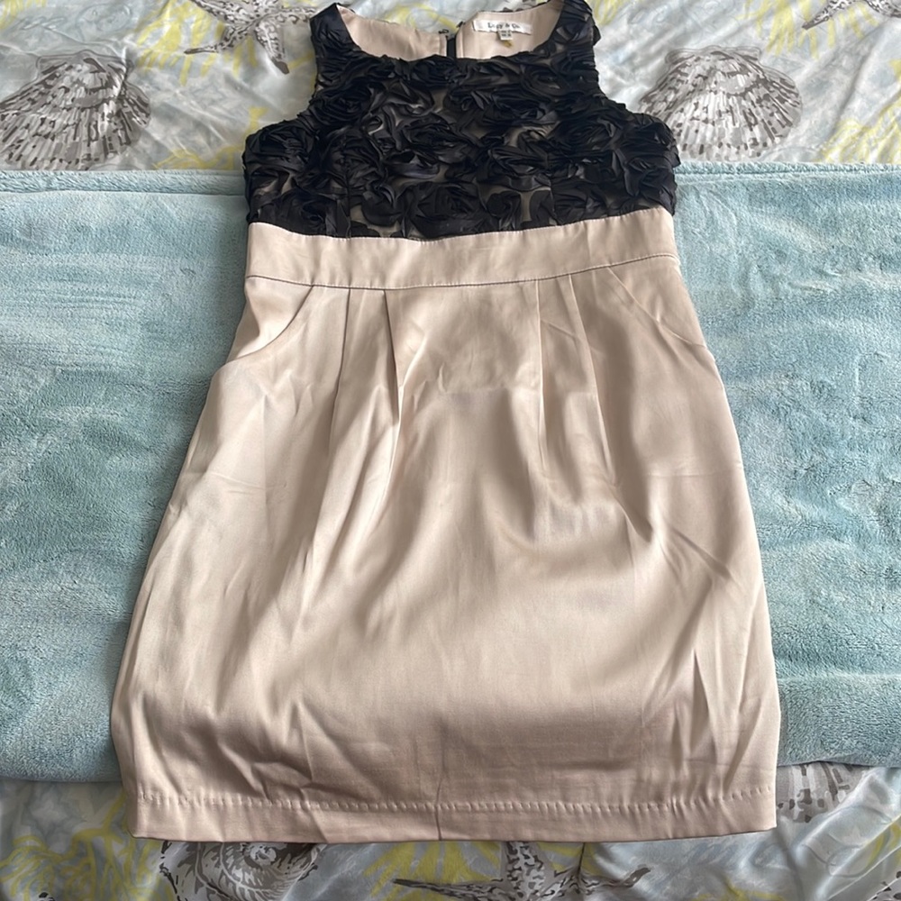Gorgeous Cream/Black Rose detailed Dress